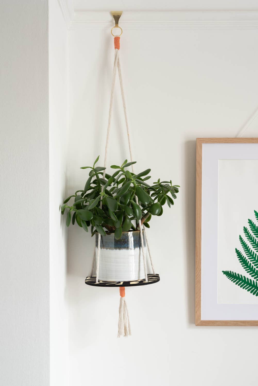 Hanging Plant Shelf - Abstract
