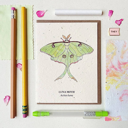 Luna Moth Plantable Greeting Card ~ Lun