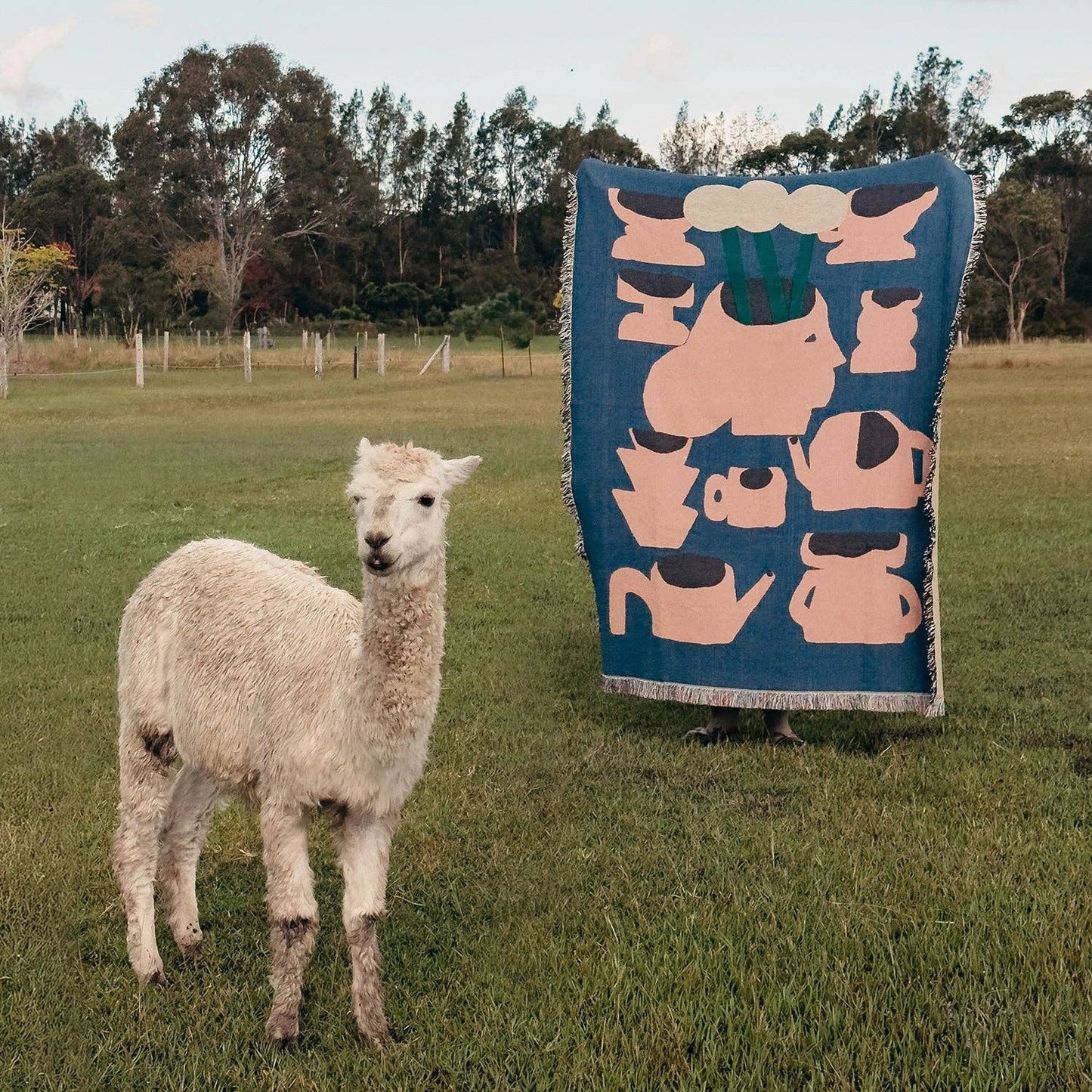 Throw Blanket ~ Vases