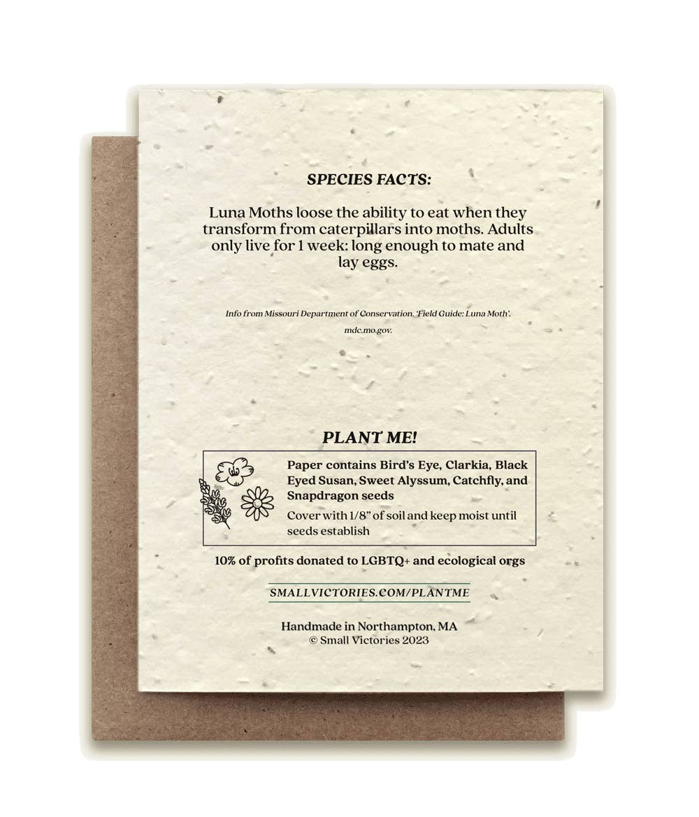 Luna Moth Plantable Greeting Card ~ Lun