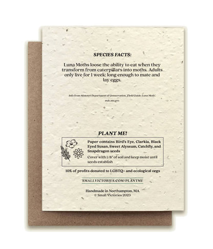 Luna Moth Plantable Greeting Card ~ Lun