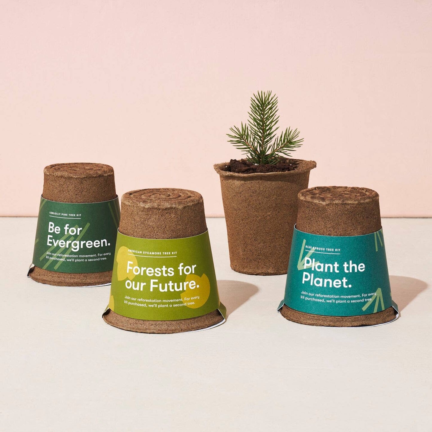 One-For One Tree Kit - Blue Spruce