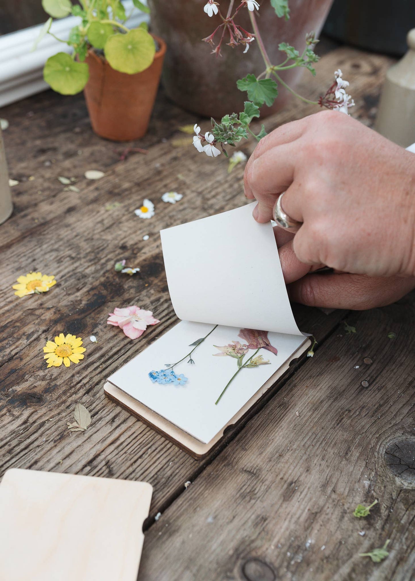 Pocket Flower Press - Teasel