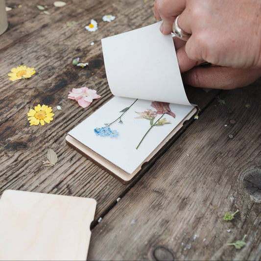Pocket Flower Press - Vintage Corn Poppy