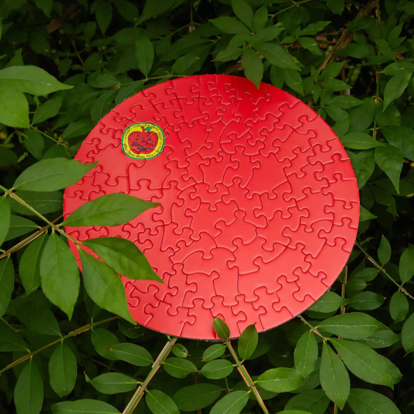 Round Puzzle (81 Pieces) ~ Flat Apple