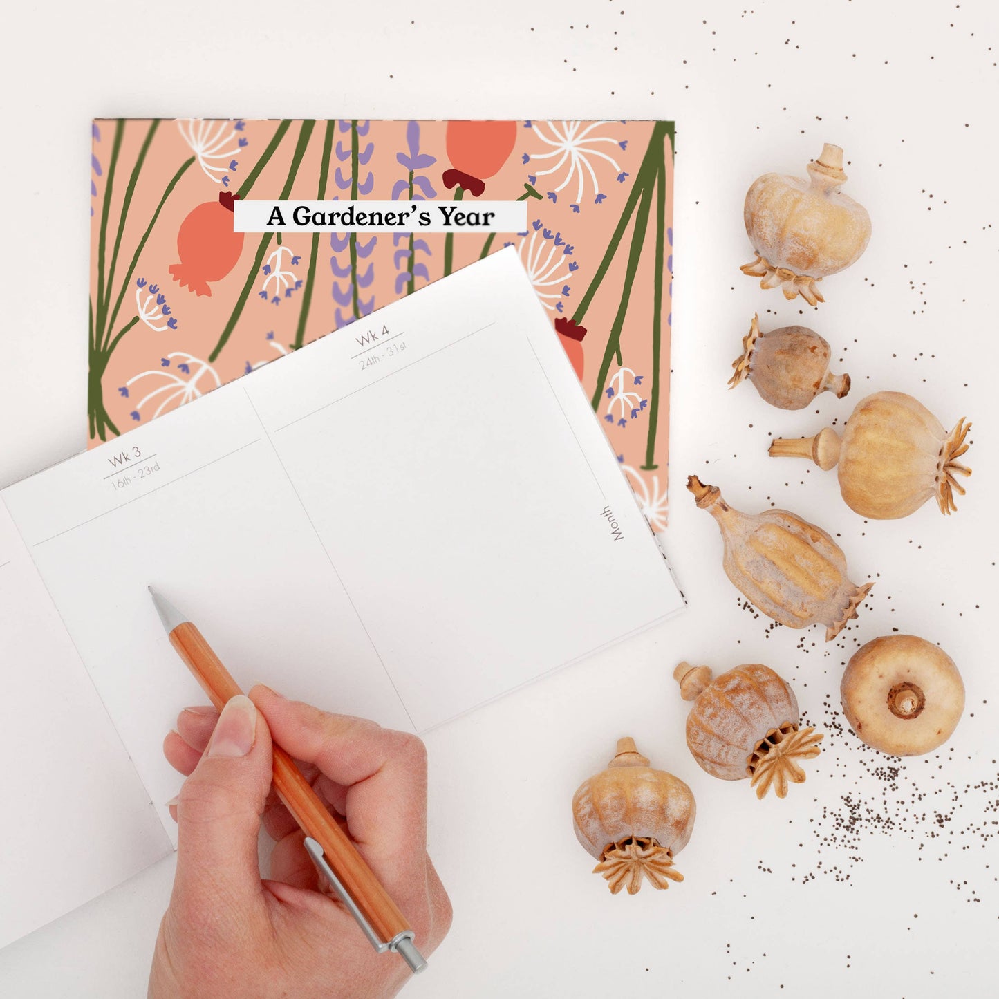 Gardener's Diary ~ Peach