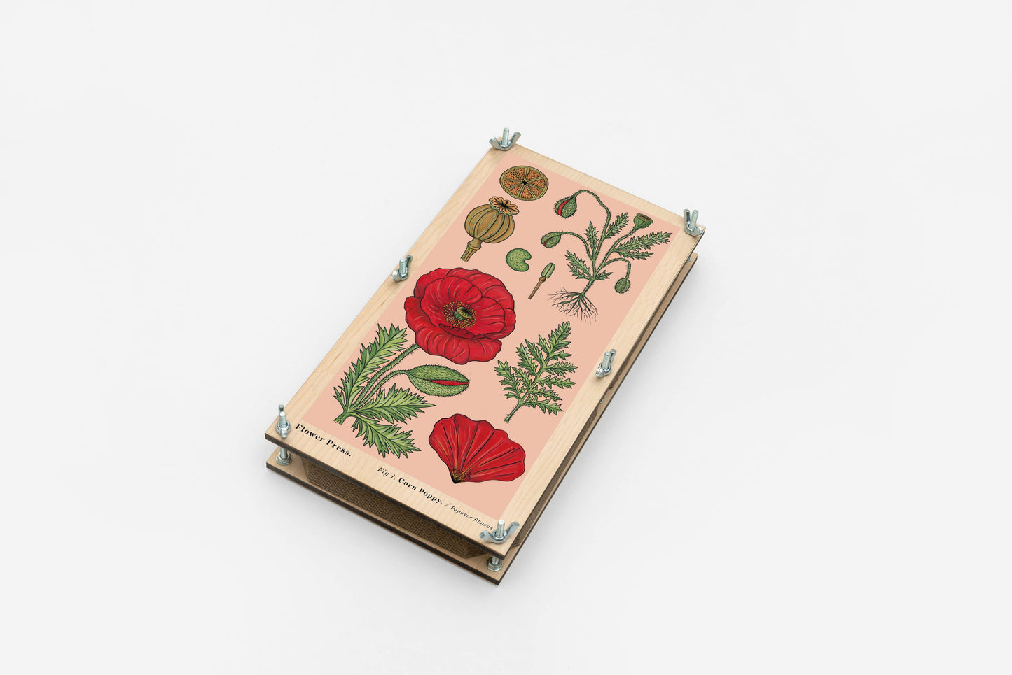 Large Flower Press - Vintage Poppy