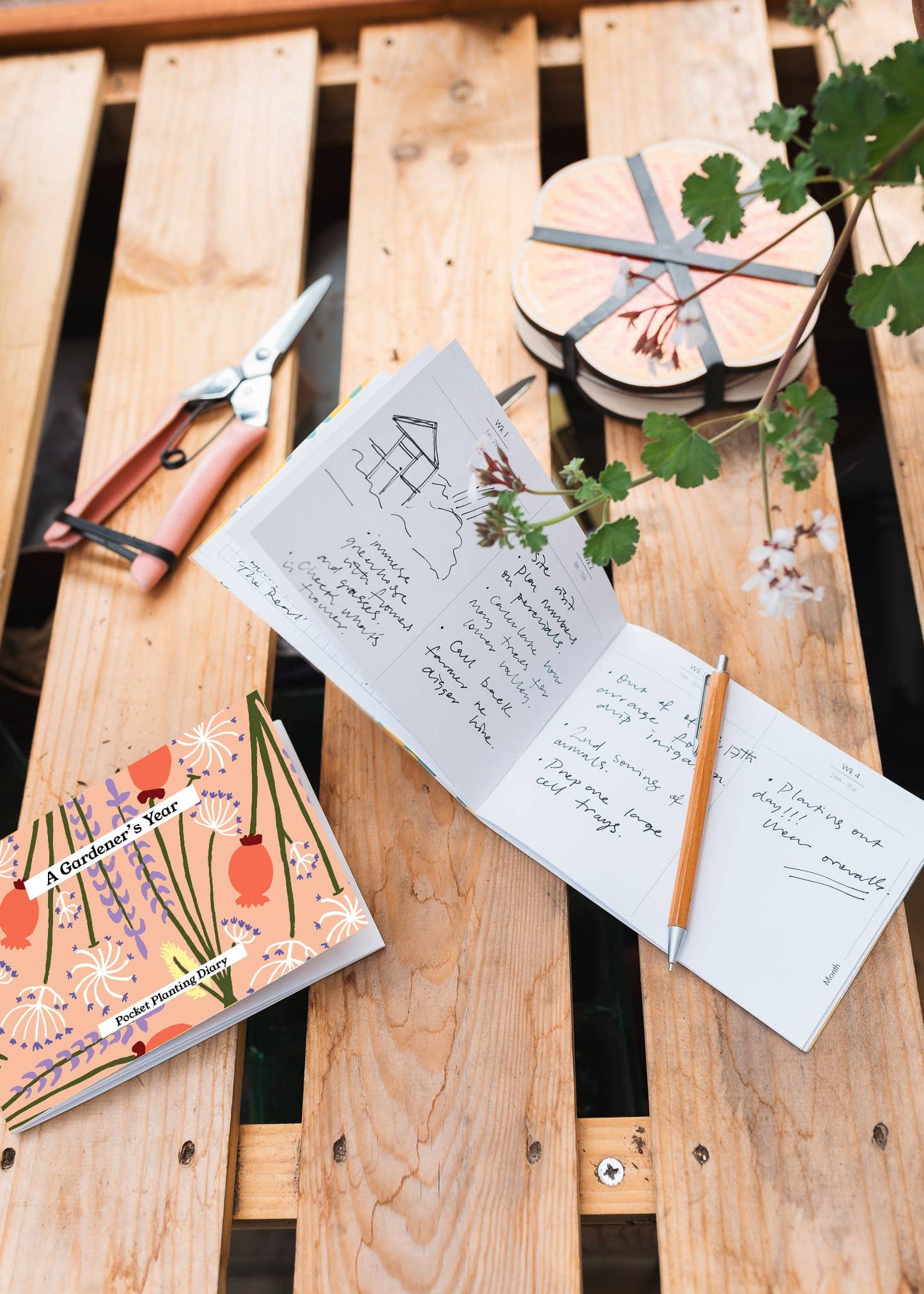 Gardener's Diary ~ Peach