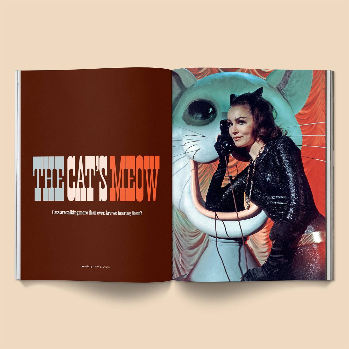 Catnip Magazine: Volume 2