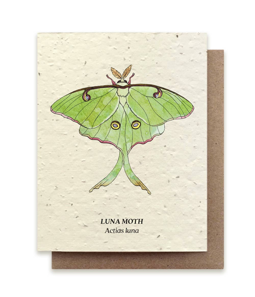 Luna Moth Plantable Greeting Card ~ Lun