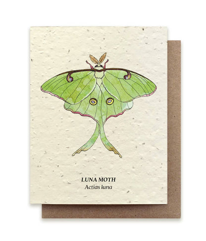 Luna Moth Plantable Greeting Card ~ Lun