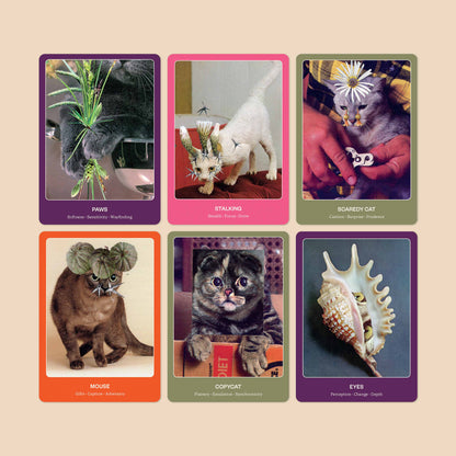 The Cat Oracle: 33 Card Deck & Guidebook 