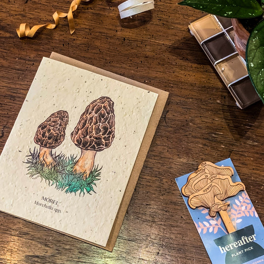 Greeting Card ~ Morel Mushroom (Plantable Wildflower Seed Card)