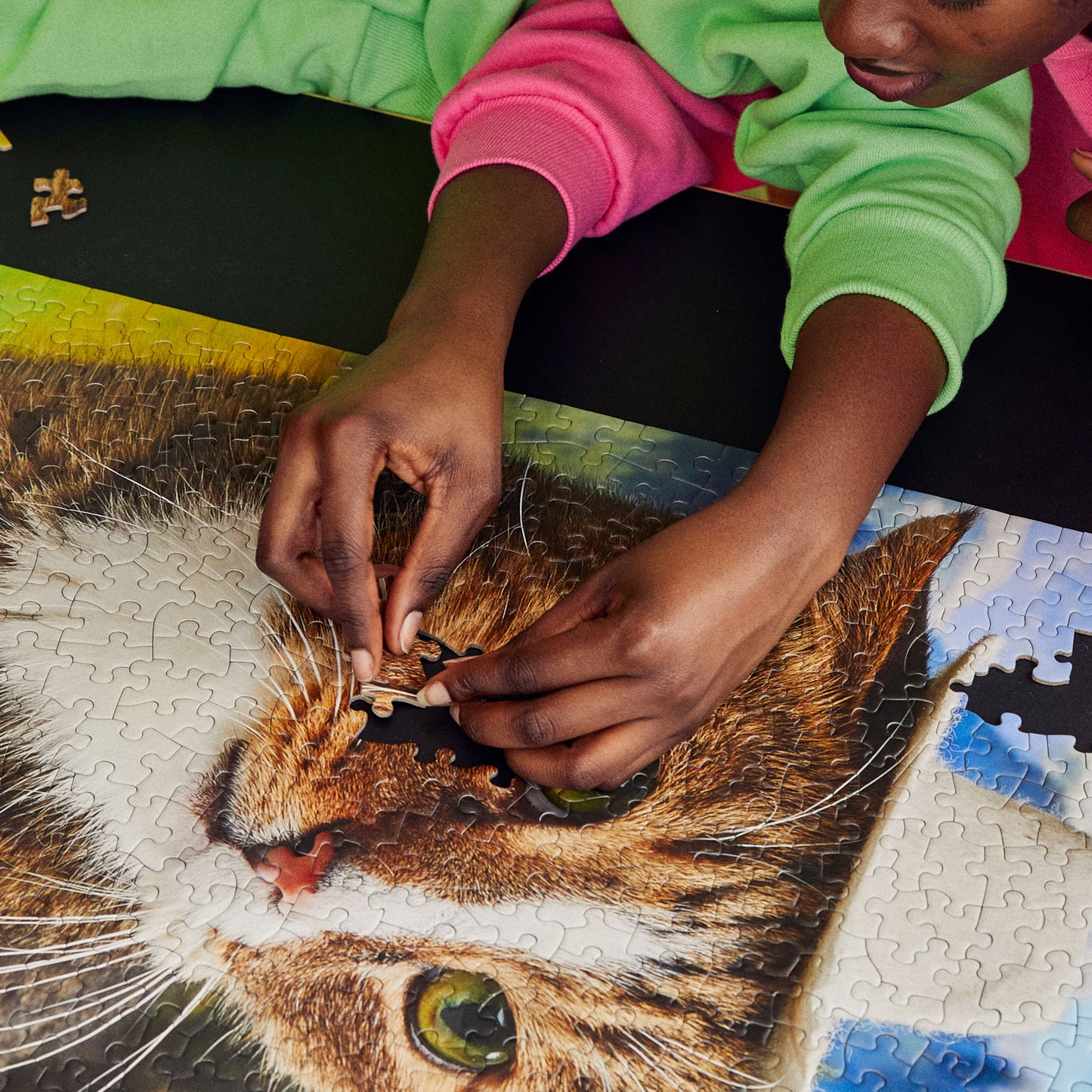 Puzzle (500 Pieces) ~ Howdy Pawter