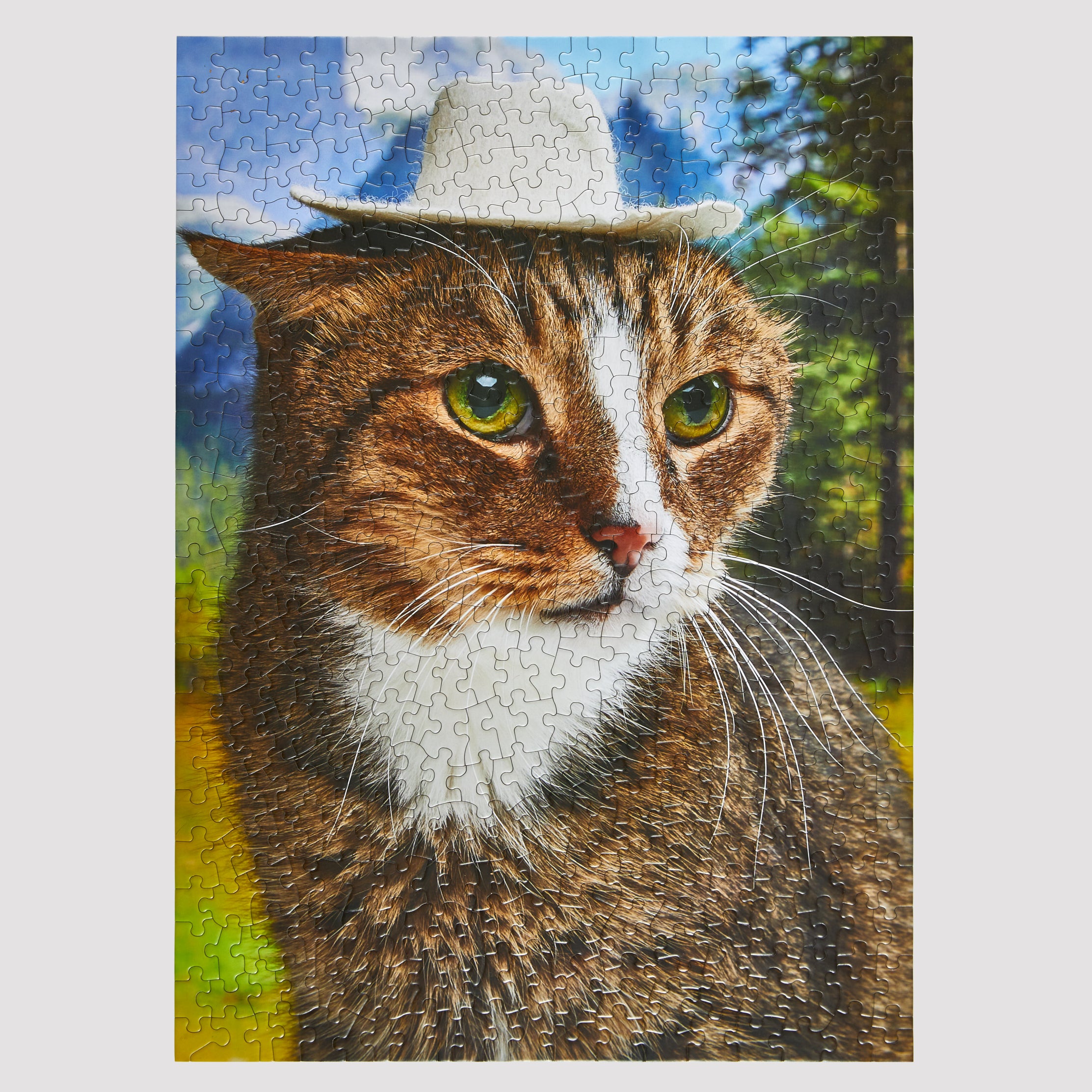 Howdy Paw-ter (500 Pieces) | Shop Random Cut Cat Puzzle – Green