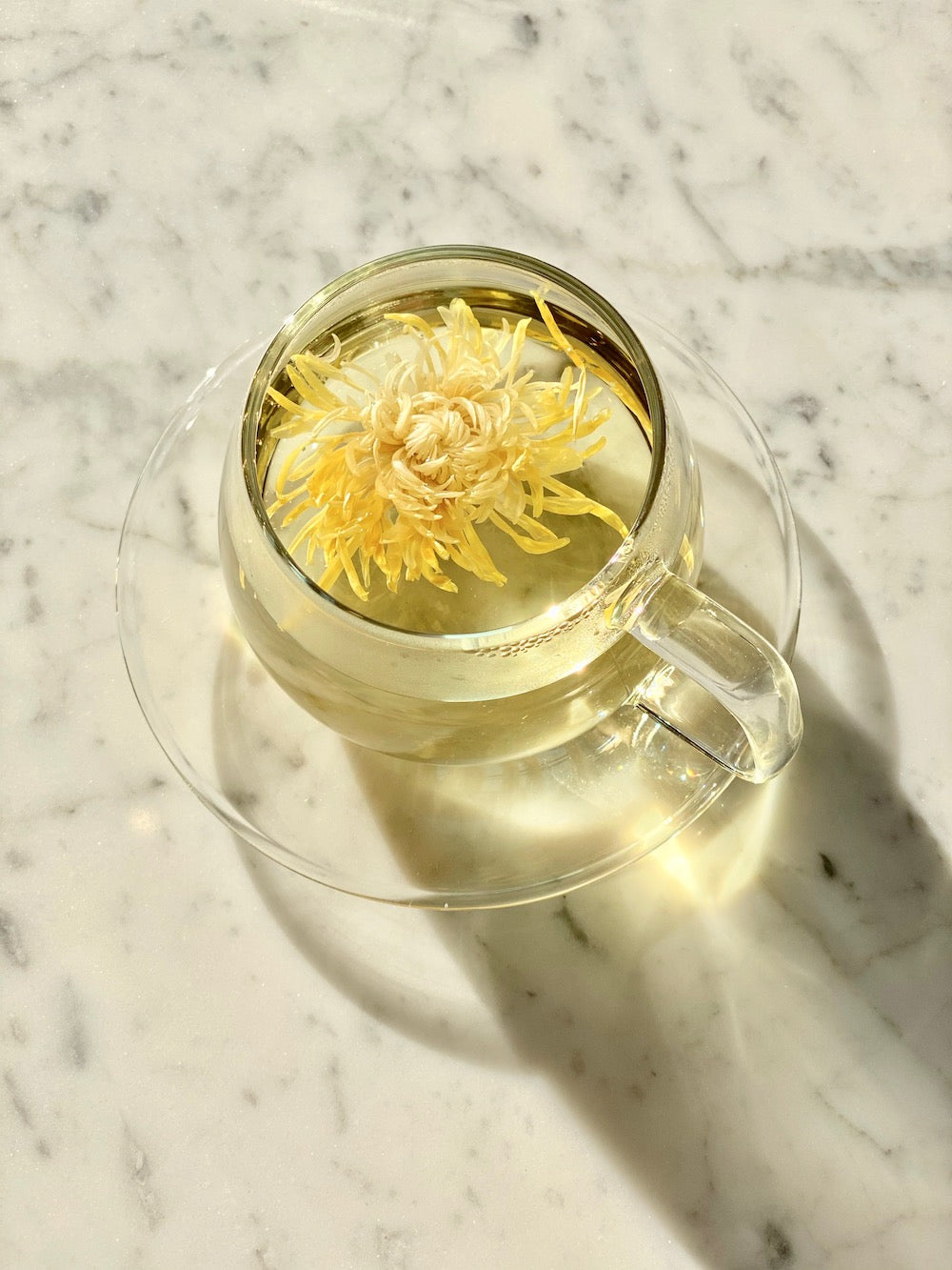 Royal Chrysanthemum Flower Tea (herbal tea/tisane)