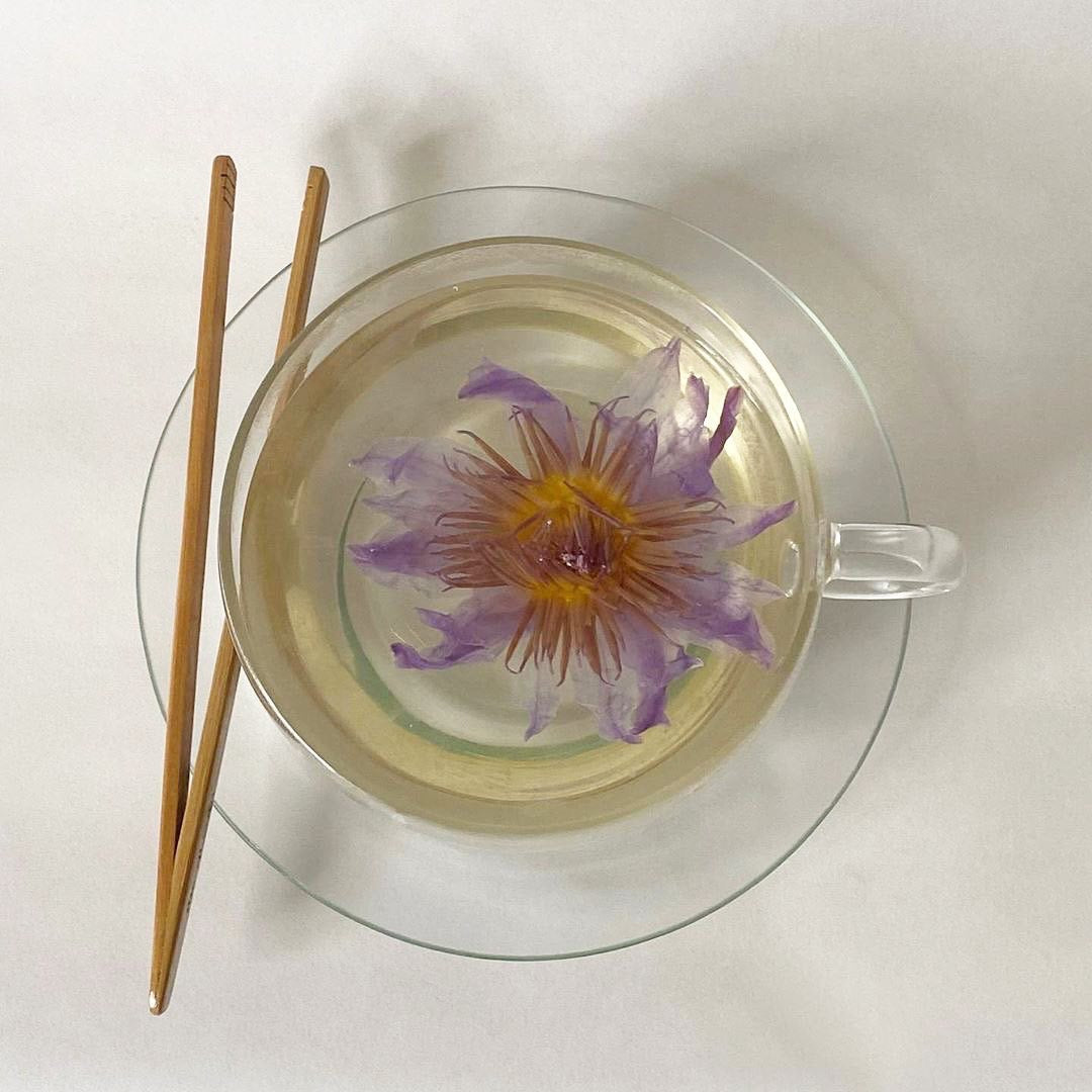 Blue Lotus Flower Tea (herbal tea/tisane)