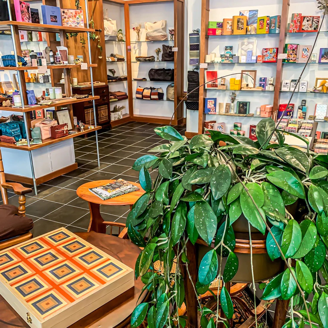 Interior of Green & Bean gift shop in Annapolis Maryland. Features their large hoya plant, a tabletop backgammon board in Squaresville peach and surrounding shelves with colorful products