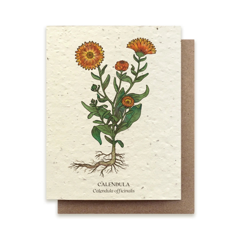Plantable Greeting Card ~ Calendula
