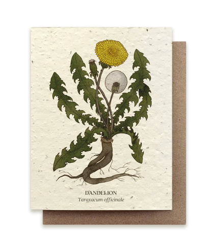 Plantable Greeting Card ~ Dandelion