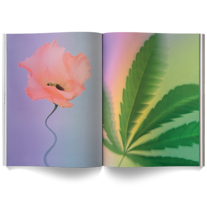 Book ~ A Weed is a Flower