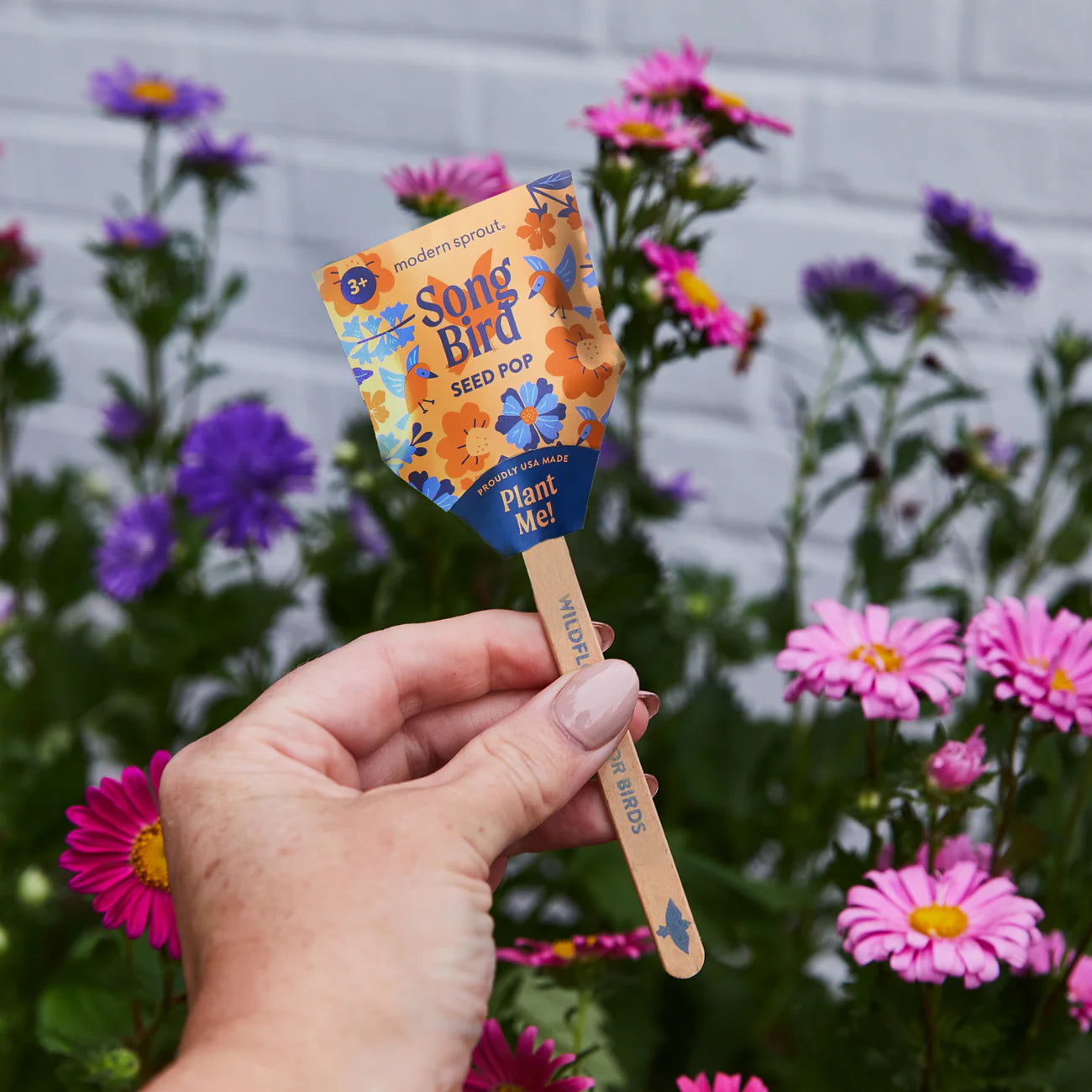 Seed Pops ~ Pollinator