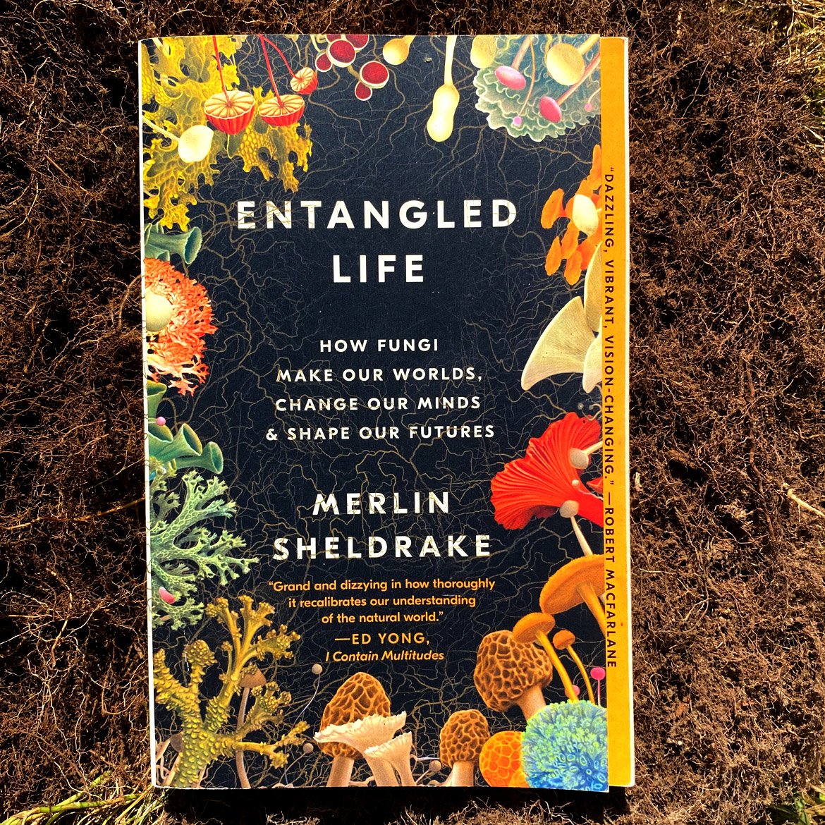 Paperback Book~ Entangled Life by Merlin Sheldrake