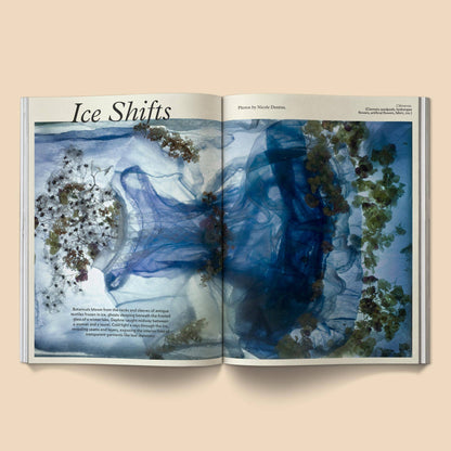 Mildew Magazine ~ Issue 4