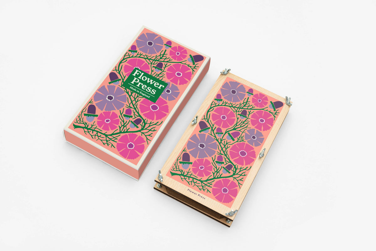 Large Flower Press - Cosmos (US landed)