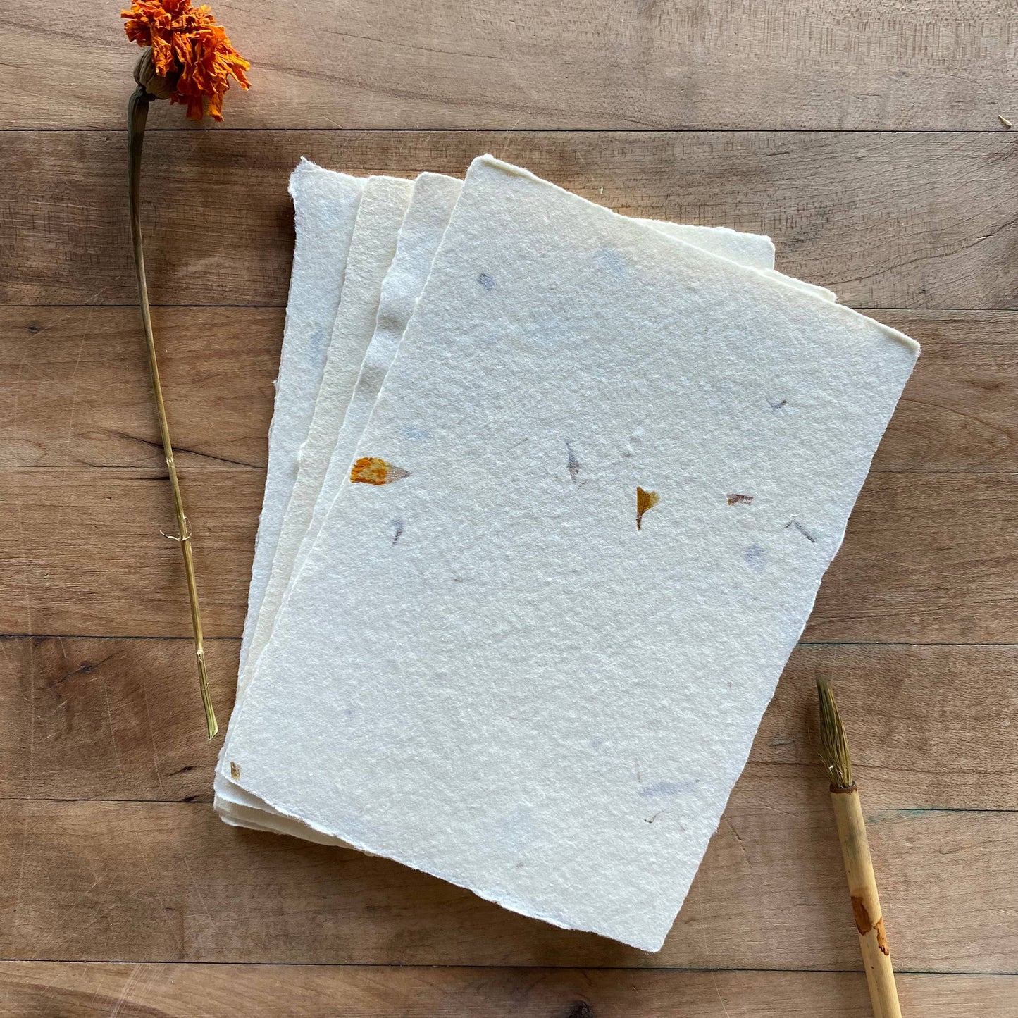 Handmade Paper (Set of 6) ~ Marigold