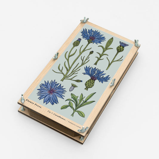 Large Flower Press - Vintage Cornflower
