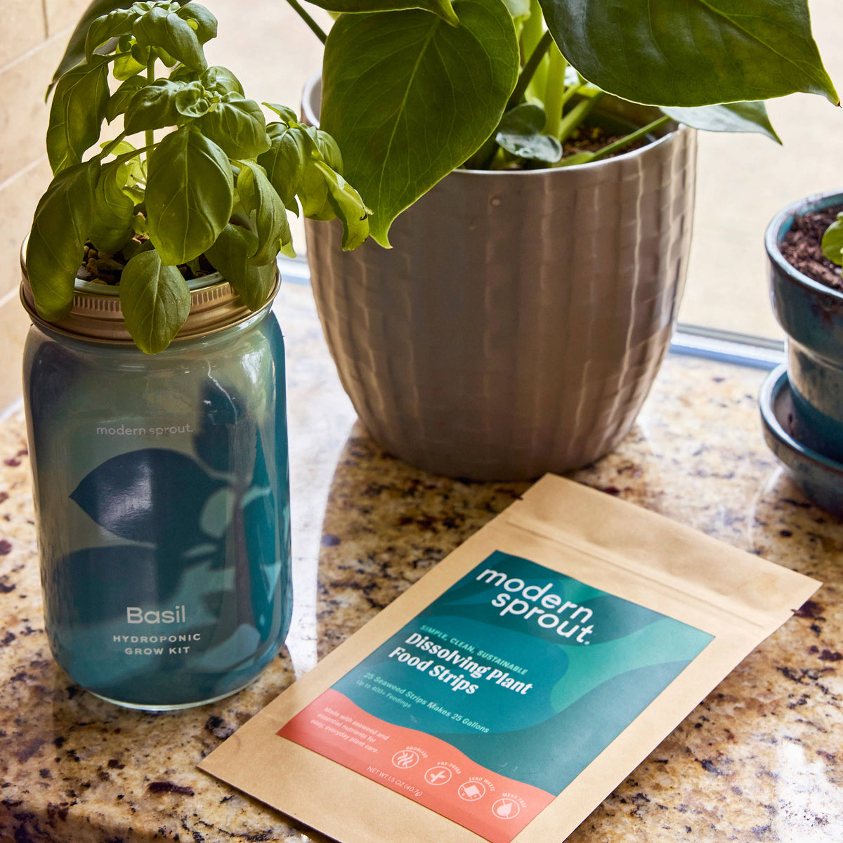Dissolving Plant Food Sheets