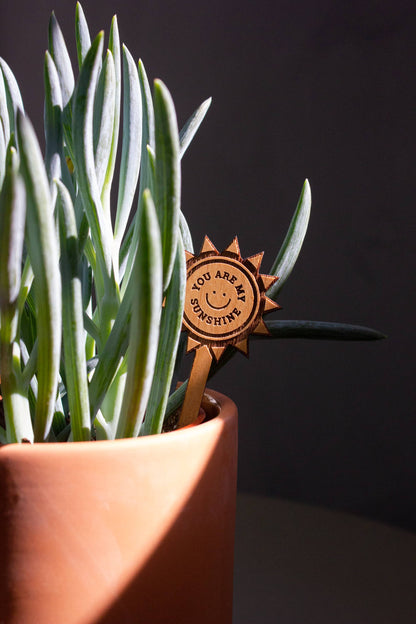 Wood Plant Pick ~  You Are My Sunshine