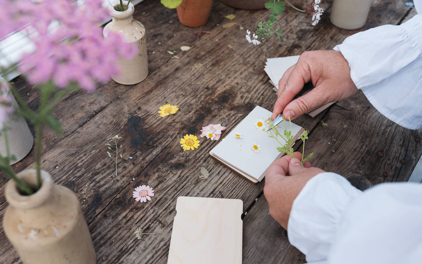 Pocket Flower Press ~ Dandelion