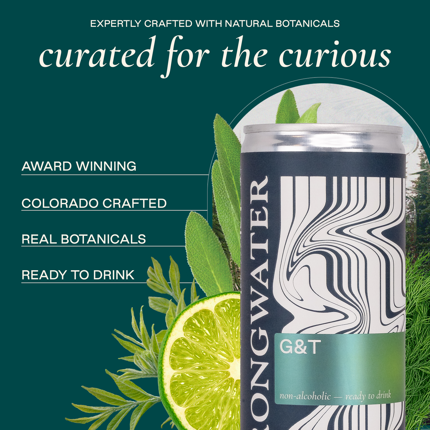 Sparkling NA G&T Mocktail