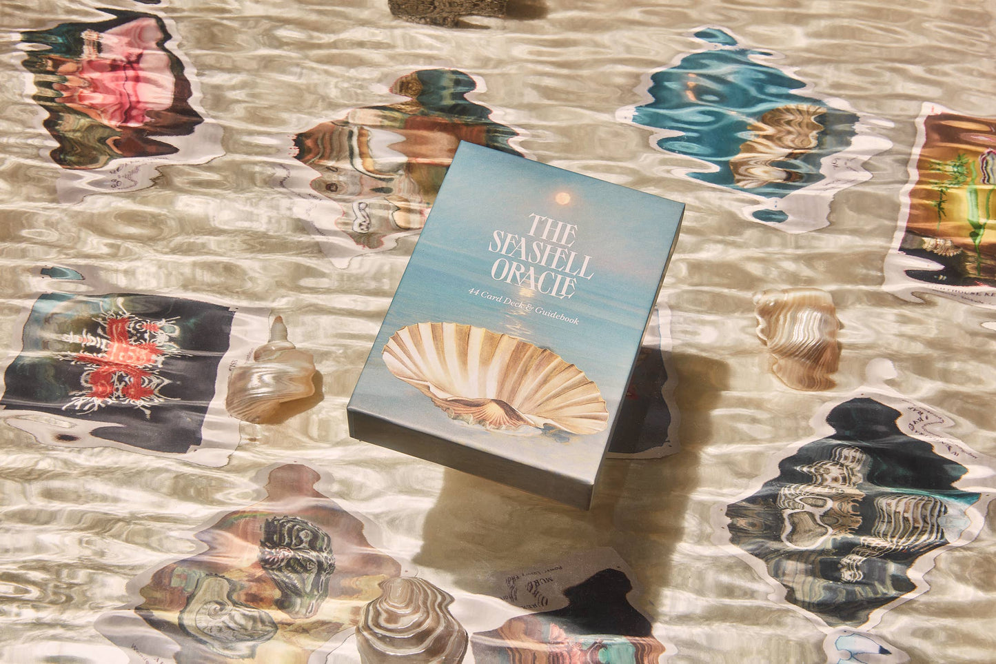 The Seashell Oracle