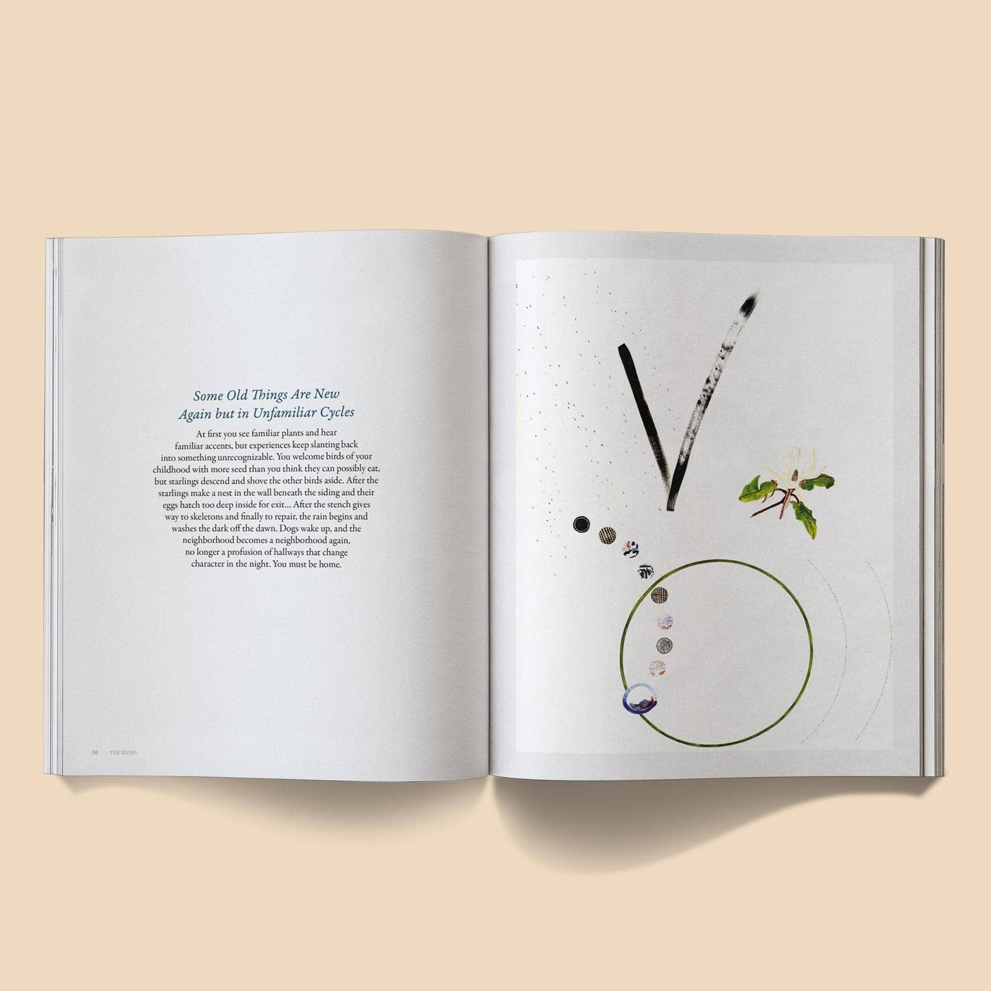 The Rebis ~ The Star Issue