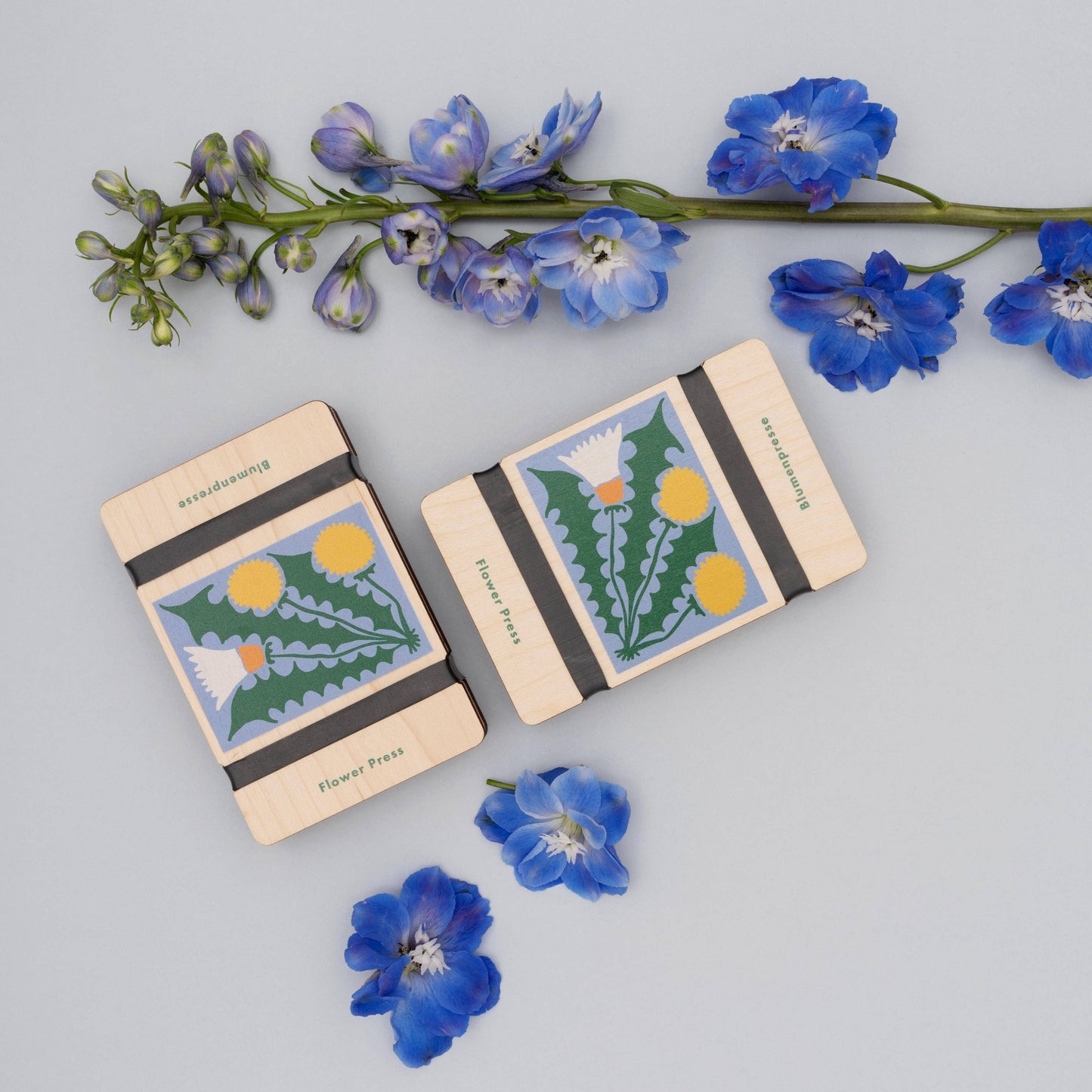 Pocket Flower Press ~ Dandelion