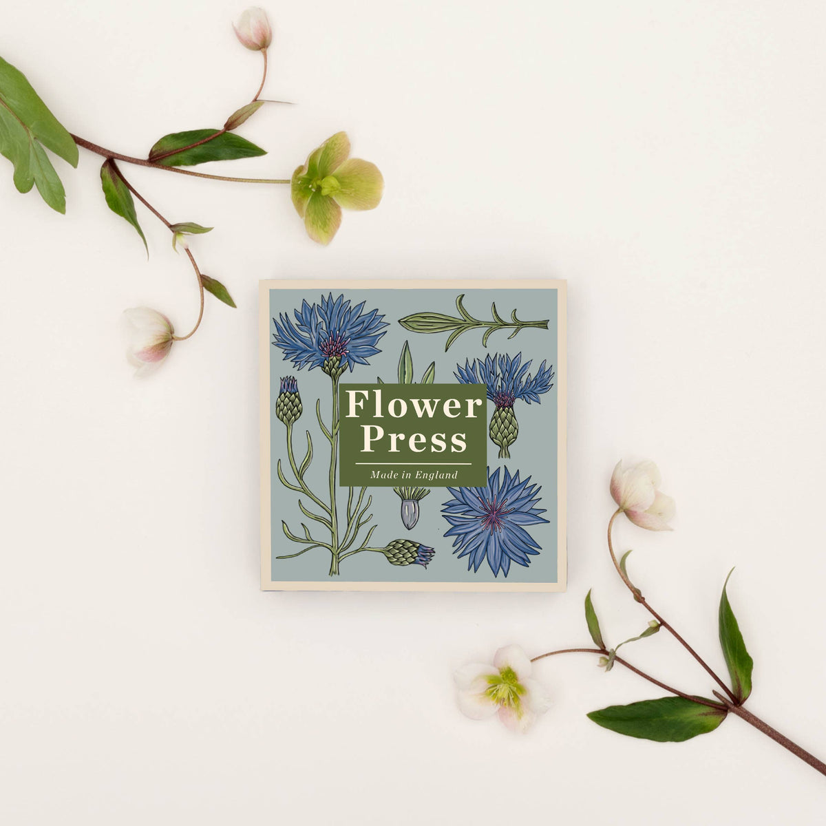 Flower Press - Cornflower (US landed)
