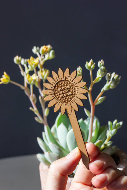 Wood Plant Pick ~  Bloom Baby Bloom Sunflower
