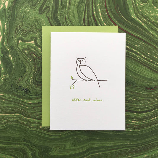 Birthday Greeting Card ~ Older And Wiser
