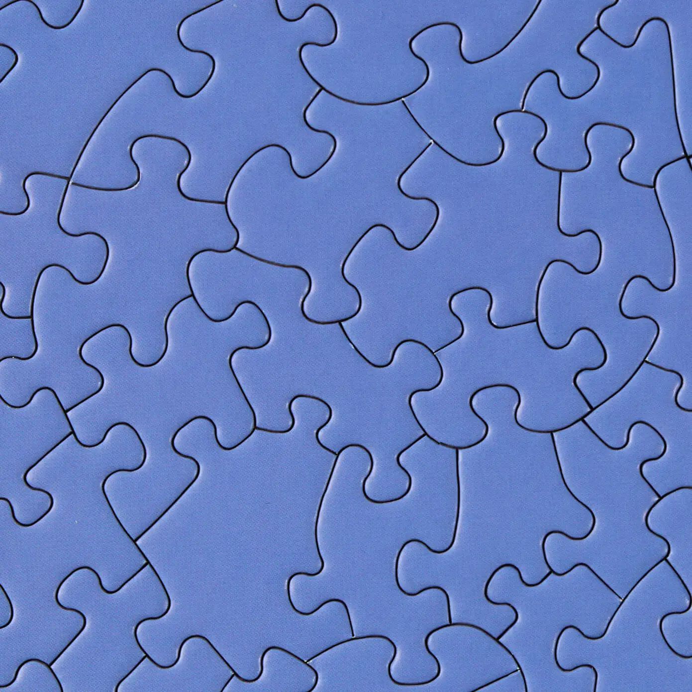 Round Puzzle (81 Pieces) ~ Flat Blueberry