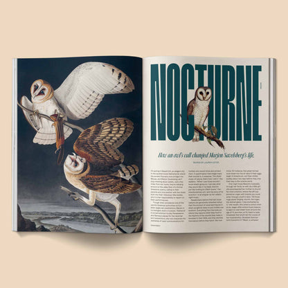 Heartbeat Magazine ~ Volume 1