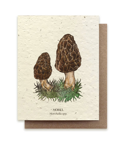 Plantable Greeting Card ~ Morel Mushroom