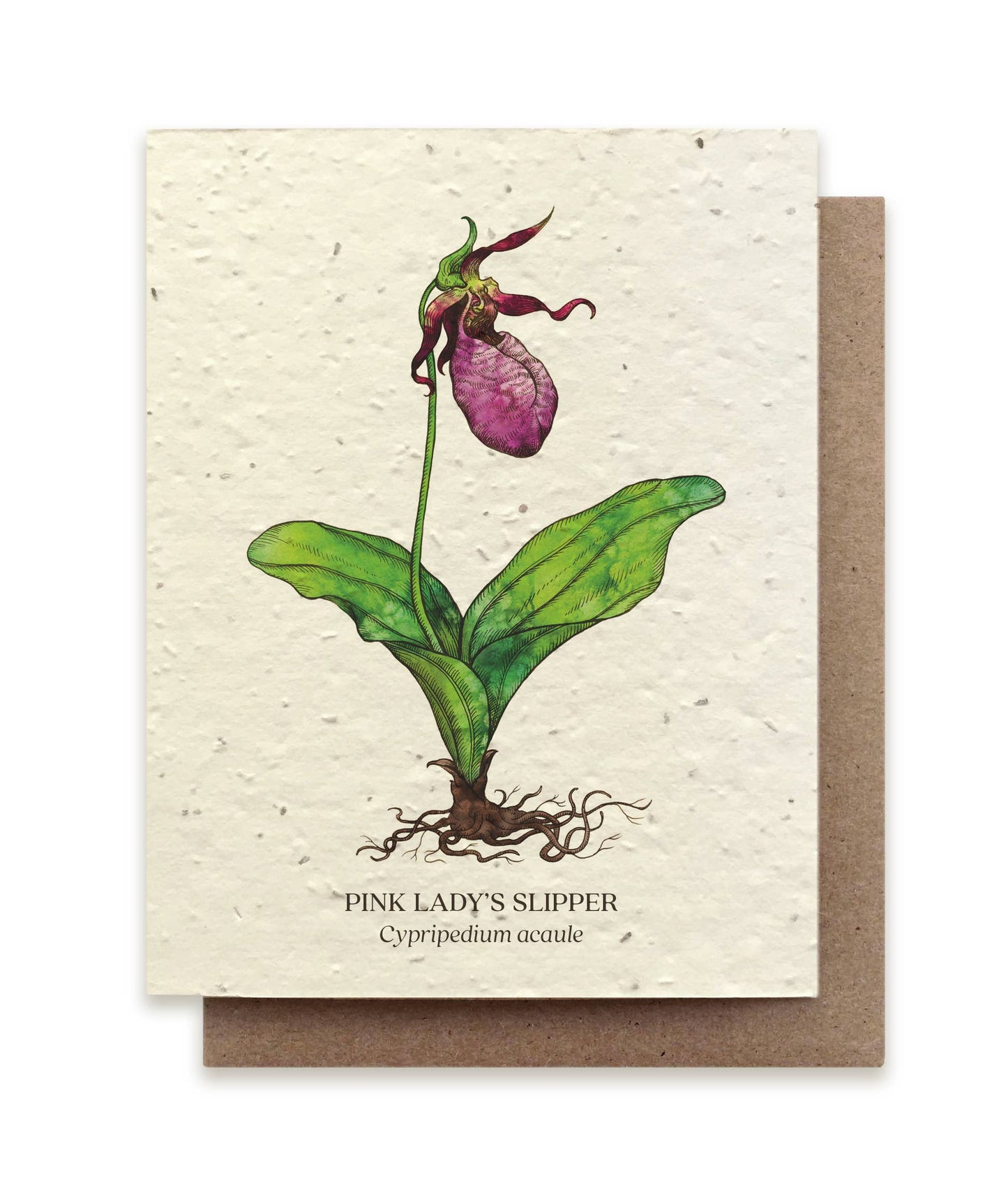 Greeting Card ~ Pink Lady's Slipper (Plantable Wildflower Seed Card)