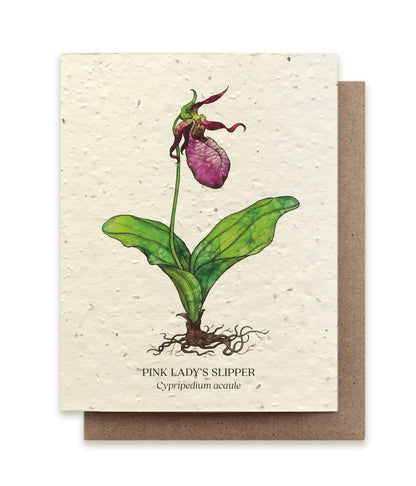 Plantable Greeting Card ~ Pink Lady's Slipper