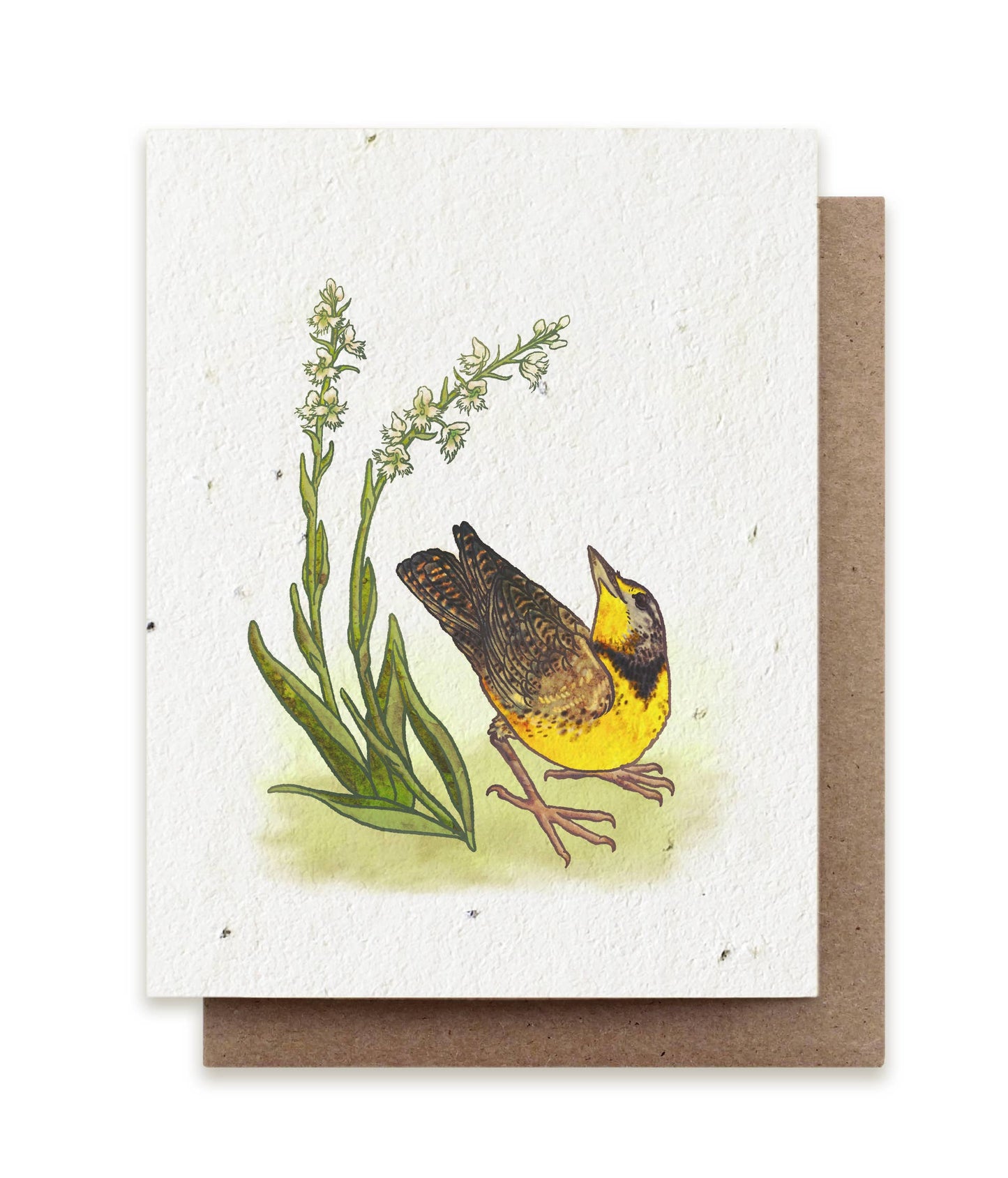 Greeting Card ~ Meadowlark & Prairie Orchid (Plantable Herbal Seed Paper)