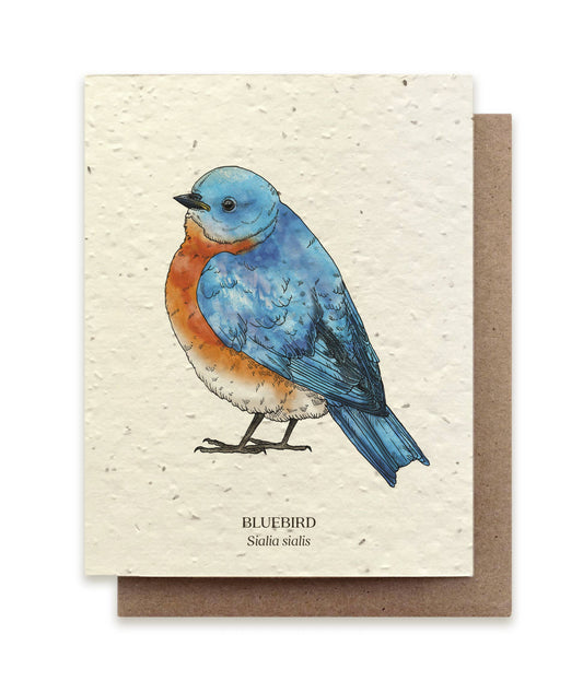 Greeting Card ~ Bluebird (Plantable Wildflower Seed Card)