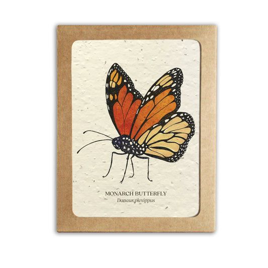 Plantable Greeting Card Set ~ Insects