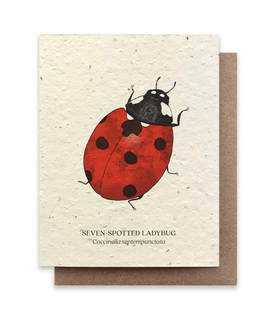 Greeting Card ~ Seven-Spotted Ladybug (Plantable Wildflower Seed Card)